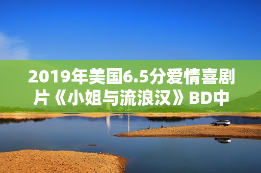 2019年美国6.5分爱情喜剧片《小姐与流浪汉》BD中英双字