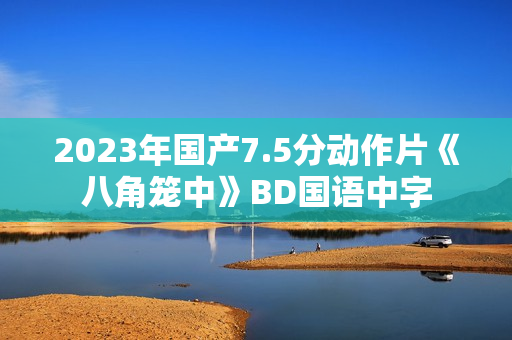 2023年国产7.5分动作片《八角笼中》BD国语中字