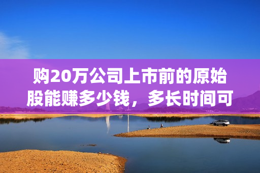 购20万公司上市前的原始股能赚多少钱，多长时间可以套现？(一个市值20亿的公司上市后多少钱)