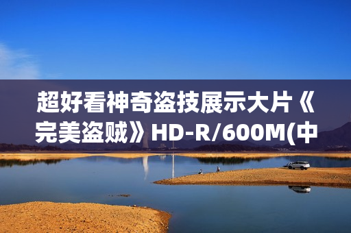 超好看神奇盗技展示大片《完美盗贼》HD-R/600M(中字)