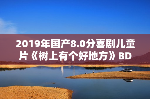 2019年国产8.0分喜剧儿童片《树上有个好地方》BD国语中字