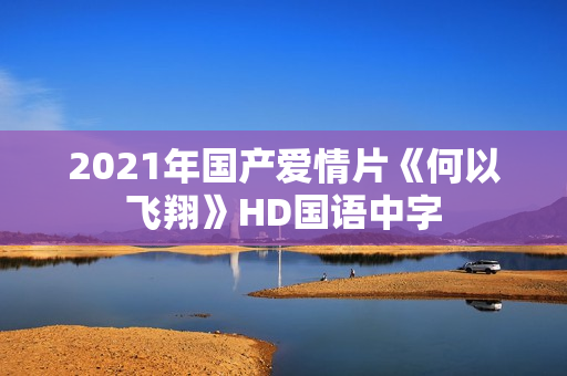 2021年国产爱情片《何以飞翔》HD国语中字
