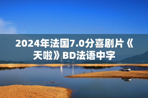 2024年法国7.0分喜剧片《天啦》BD法语中字