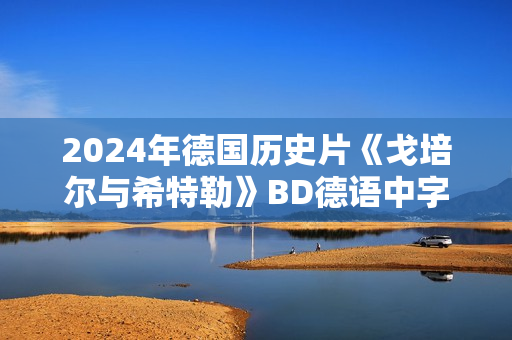 2024年德国历史片《戈培尔与希特勒》BD德语中字