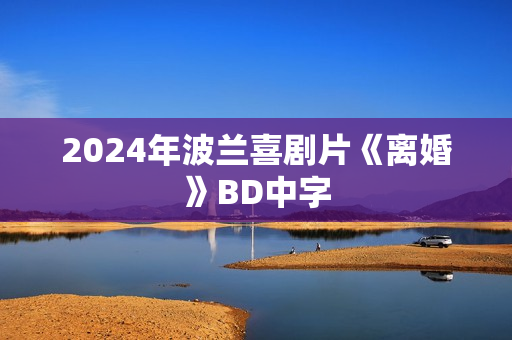2024年波兰喜剧片《离婚》BD中字