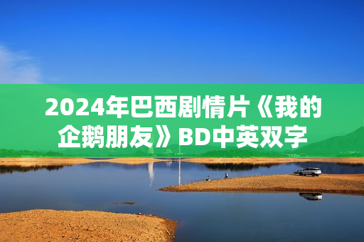 2024年巴西剧情片《我的企鹅朋友》BD中英双字