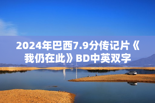 2024年巴西7.9分传记片《我仍在此》BD中英双字