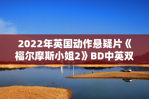 2022年英国动作悬疑片《福尔摩斯小姐2》BD中英双字