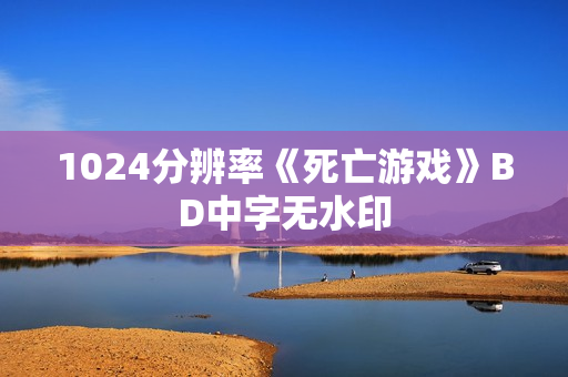 1024分辨率《死亡游戏》BD中字无水印