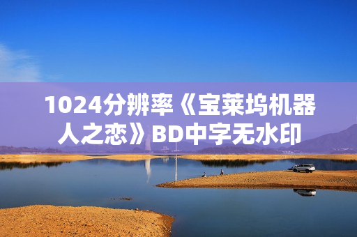 1024分辨率《宝莱坞机器人之恋》BD中字无水印