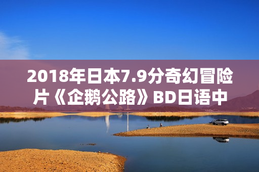 2018年日本7.9分奇幻冒险片《企鹅公路》BD日语中字