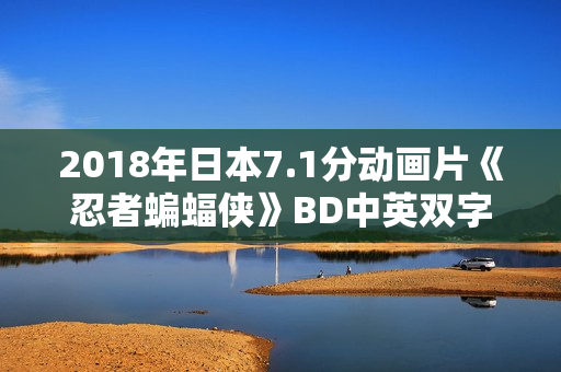 2018年日本7.1分动画片《忍者蝙蝠侠》BD中英双字
