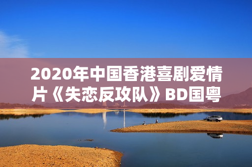 2020年中国香港喜剧爱情片《失恋反攻队》BD国粤双语中字