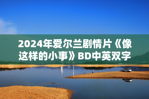 2024年爱尔兰剧情片《像这样的小事》BD中英双字