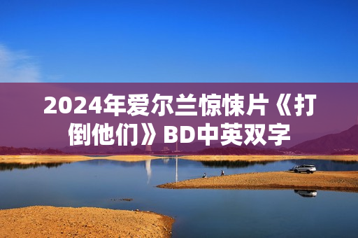 2024年爱尔兰惊悚片《打倒他们》BD中英双字