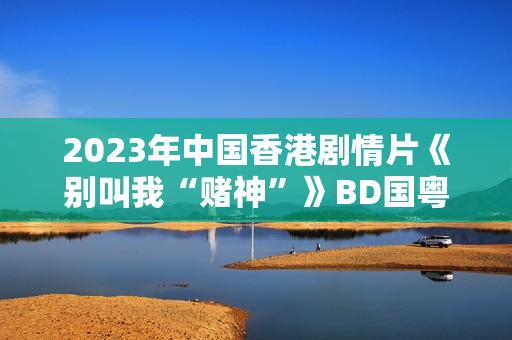 2023年中国香港剧情片《别叫我“赌神”》BD国粤双语中字