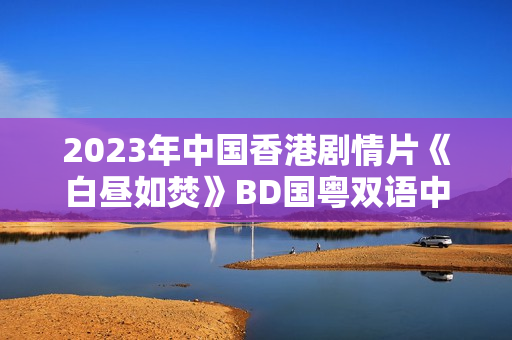 2023年中国香港剧情片《白昼如焚》BD国粤双语中字