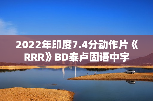 2022年印度7.4分动作片《RRR》BD泰卢固语中字
