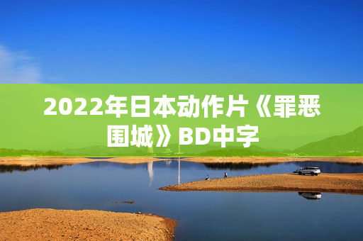 2022年日本动作片《罪恶围城》BD中字