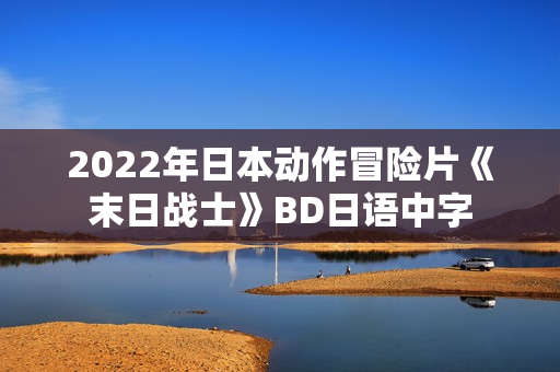 2022年日本动作冒险片《末日战士》BD日语中字