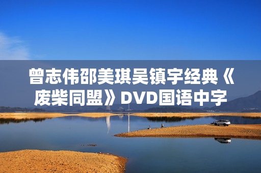 曾志伟邵美琪吴镇宇经典《废柴同盟》DVD国语中字