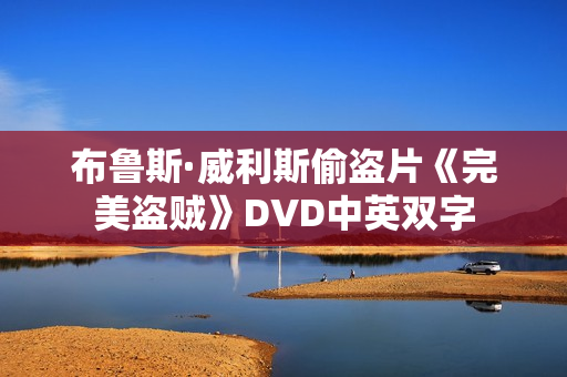 布鲁斯·威利斯偷盗片《完美盗贼》DVD中英双字