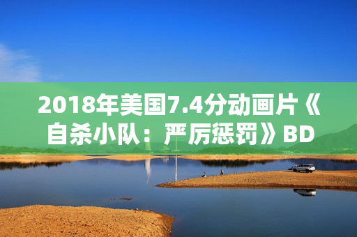 2018年美国7.4分动画片《自杀小队：严厉惩罚》BD中字