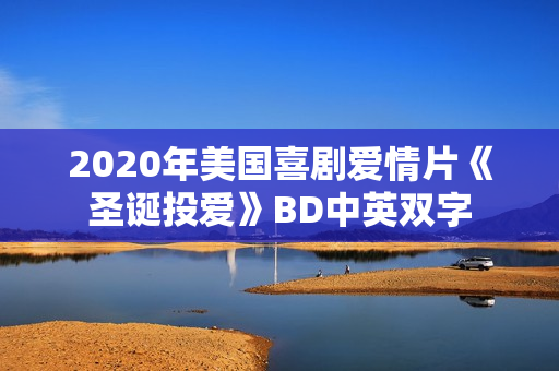 2020年美国喜剧爱情片《圣诞投爱》BD中英双字