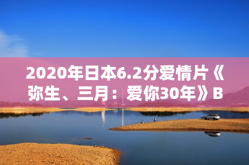 2020年日本6.2分爱情片《弥生、三月：爱你30年》BD日语中字