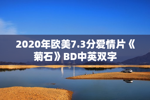 2020年欧美7.3分爱情片《菊石》BD中英双字