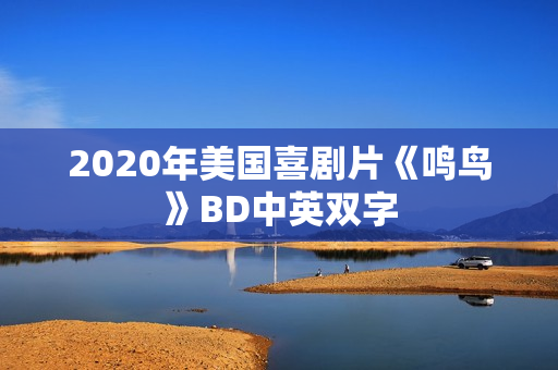 2020年美国喜剧片《鸣鸟》BD中英双字