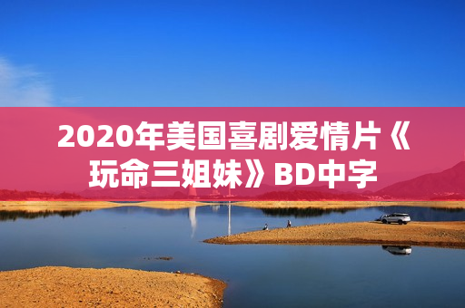 2020年美国喜剧爱情片《玩命三姐妹》BD中字