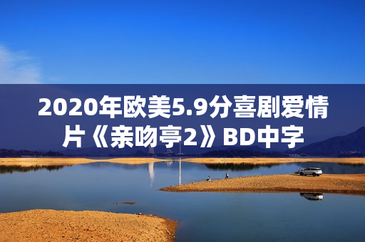 2020年欧美5.9分喜剧爱情片《亲吻亭2》BD中字