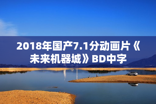 2018年国产7.1分动画片《未来机器城》BD中字