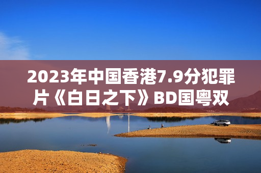 2023年中国香港7.9分犯罪片《白日之下》BD国粤双语中字
