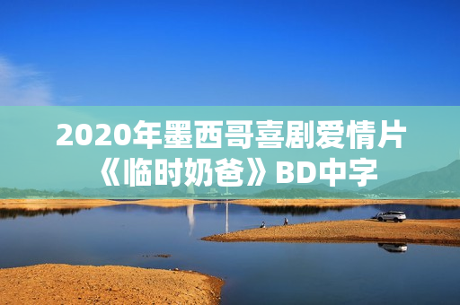 2020年墨西哥喜剧爱情片《临时奶爸》BD中字