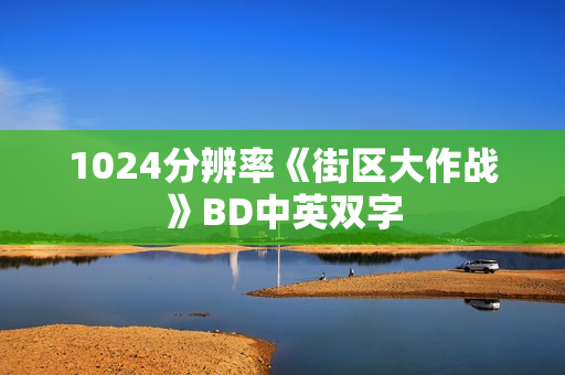 1024分辨率《街区大作战》BD中英双字