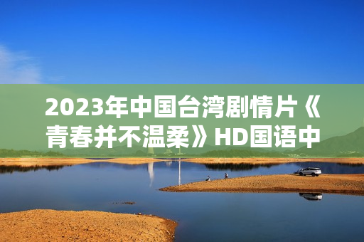 2023年中国台湾剧情片《青春并不温柔》HD国语中字