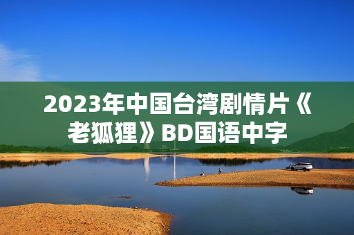 2023年中国台湾剧情片《老狐狸》BD国语中字