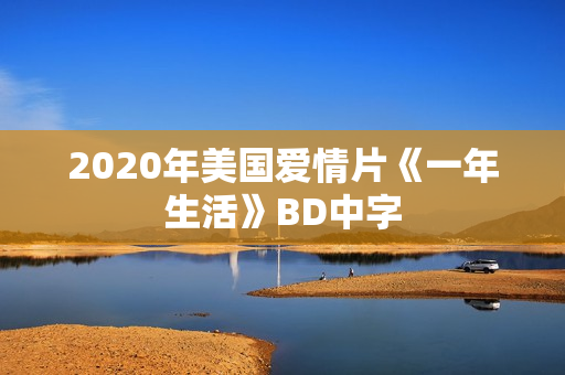 2020年美国爱情片《一年生活》BD中字