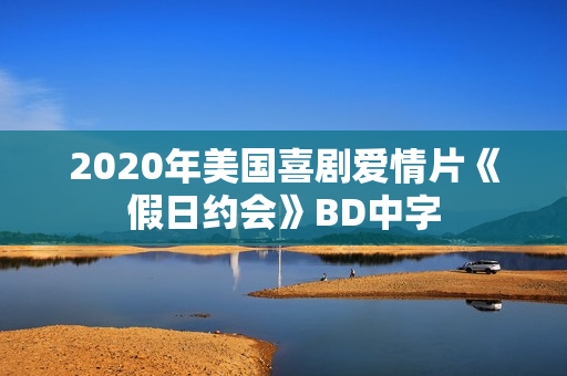 2020年美国喜剧爱情片《假日约会》BD中字