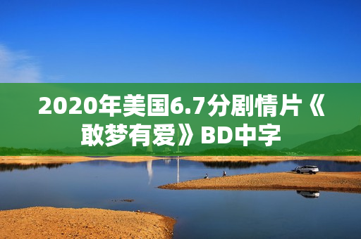2020年美国6.7分剧情片《敢梦有爱》BD中字