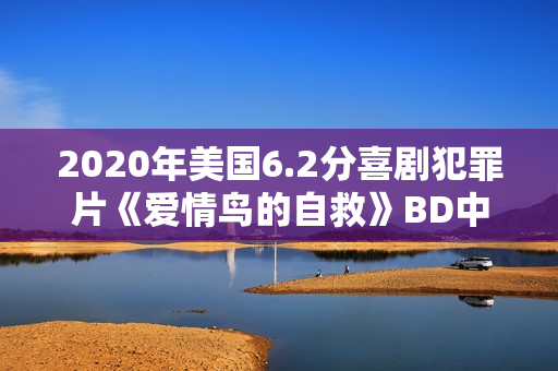 2020年美国6.2分喜剧犯罪片《爱情鸟的自救》BD中字