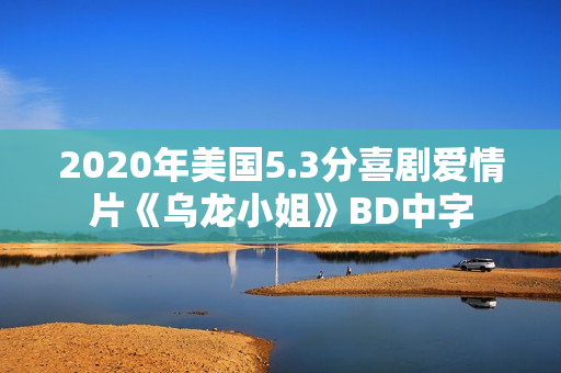 2020年美国5.3分喜剧爱情片《乌龙小姐》BD中字