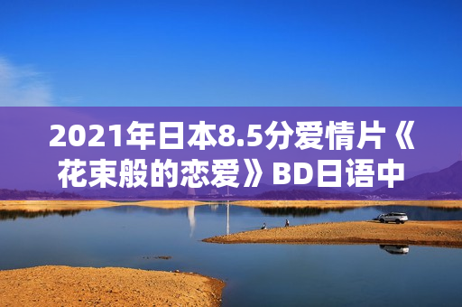 2021年日本8.5分爱情片《花束般的恋爱》BD日语中字