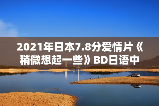 2021年日本7.8分爱情片《稍微想起一些》BD日语中字