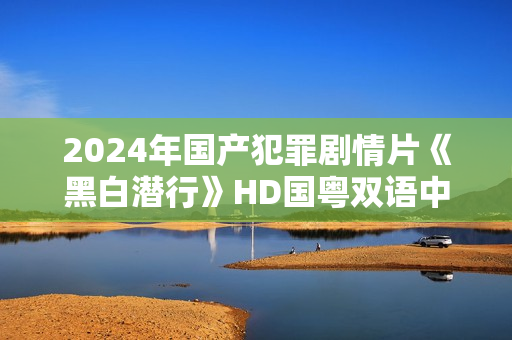 2024年国产犯罪剧情片《黑白潜行》HD国粤双语中字