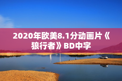 2020年欧美8.1分动画片《狼行者》BD中字