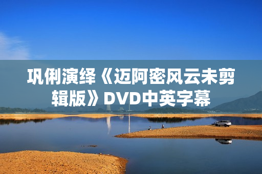 巩俐演绎《迈阿密风云未剪辑版》DVD中英字幕