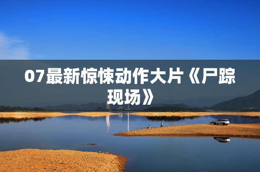 07最新惊悚动作大片《尸踪现场》